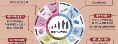 经络疾病最新研究与治疗新方向