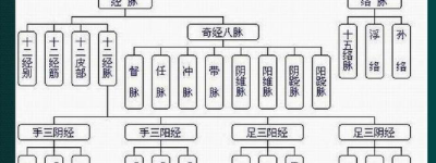 经络新研究健康与平衡的突破