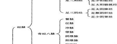 经络研究新方向、新突破