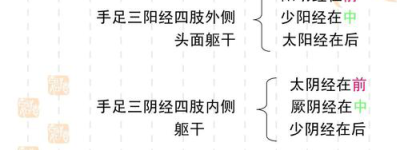 经络医学2023年最新针灸推拿趋势