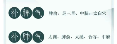 经络新方向解谜气血，平衡健康