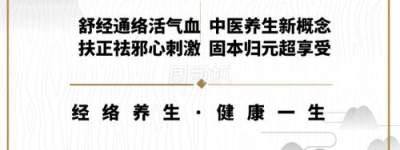 经络与健康掌握新技能，健康生活更轻松