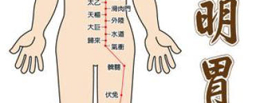 经络与健康2023年最新健康新知