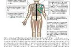 探索经络现象：科学证据与潜在的生理机制