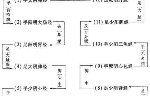 经络之谜：探索传统医学的经络智慧