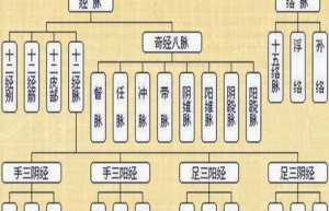 经络教育新热点：智能科技与经络理论的融合