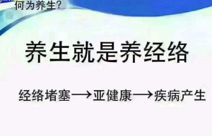 经络教育：探索脾胃健康新秘境，解密经络养