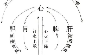 经络新探索提升身体能量的秘诀