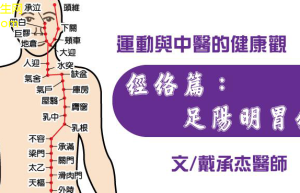 经络新知解锁身体健康新秘诀