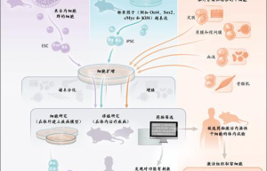 经络疾病最新研究与治疗前沿