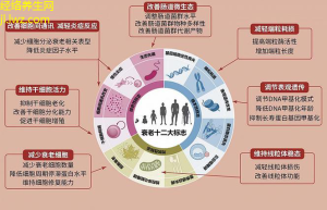 经络疾病最新研究与治疗新方向