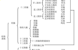 经络疾病最新研究和治疗新方向