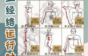 经络新方向解开健康新秘诀