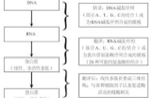 探索经络奥秘：当令话题揭示健康之源