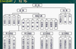 经络新研究健康与平衡的突破