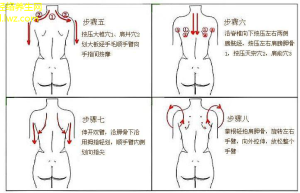 经络新研究揭秘健康新原理！