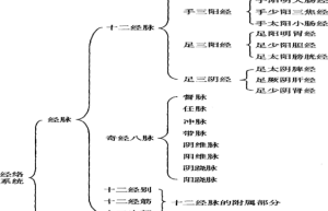 经络研究新方向、新突破