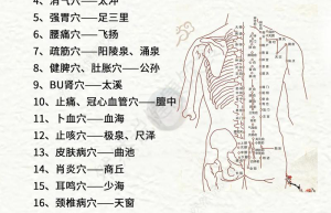 经络研究新突破与健康新方向