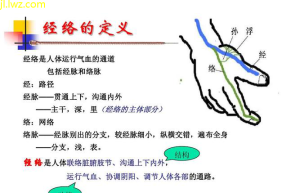 经络研究新突破：探索经络与现代医学的交汇点