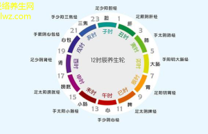 经络新方向解开身体健康新密码