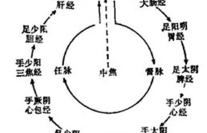 经络新方向解离气滞，活化身体