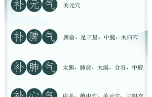 经络新方向解谜气血，平衡健康