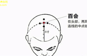 经络新解解压降压，健康内在