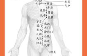 经络新解解迷气血，重塑健康！