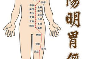 经络与健康2023年最新健康新知