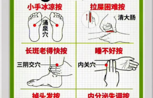 经络与新健康解离新生活方式