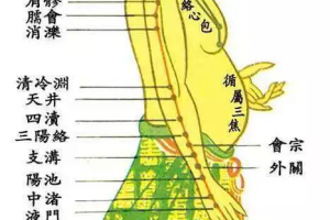 经络新知解谜经络与新科技的结合